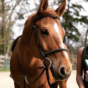 Meet your Posher, Lynda